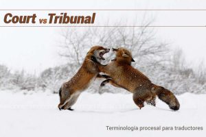 court o tribunal | Traducción jurídica y jurada de inglés a español