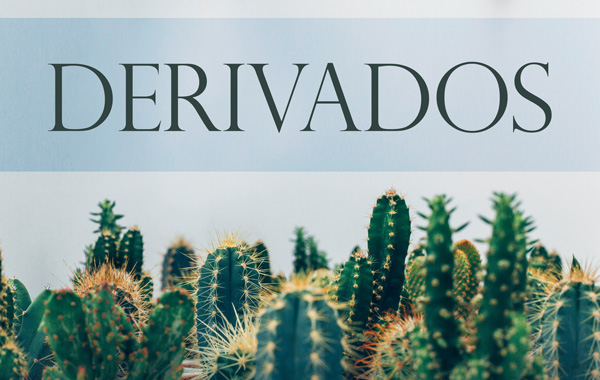 Derivados | Traducción jurídica de inglés a español